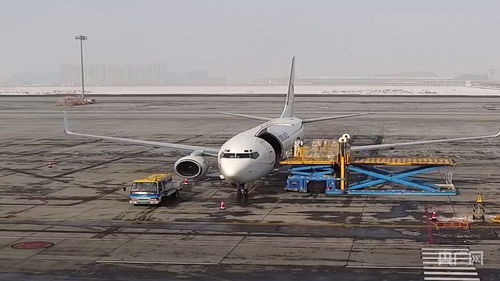 新疆國際貨運包機業務全面恢復，為國際物流注入新動能